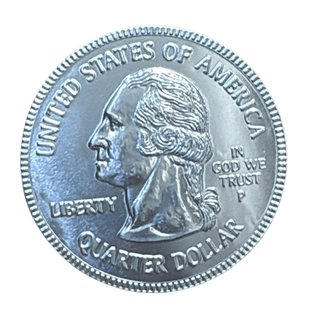 Fort Knox Giant Assorted Chocolate Coins