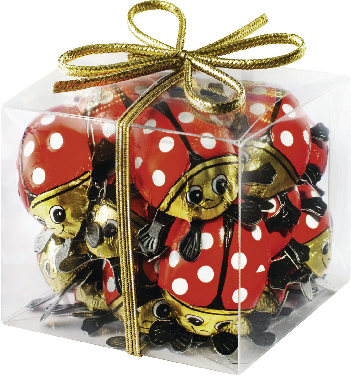 Riegelein Lady Bug Cube 100g