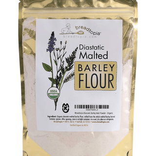 Diastatic Barley Malt Powder