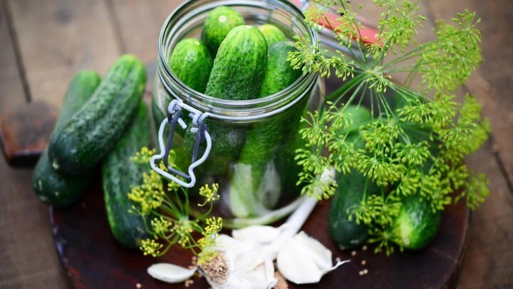 shop german pickles online at onestopgermanshop.com